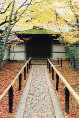高桐院1