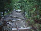 屋久島荒川林道トロッコ道10