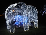 ゾウのイルミネーション