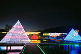 足利フラワーパーク光の花の庭07