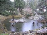 池