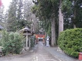唐松神社参道