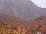 山肌の紅葉4