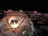 昭和記念公園27