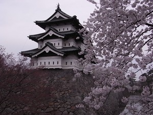 弘前城天守閣とお堀に咲く桜