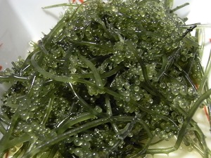 海ぶどう