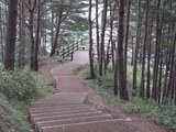 第二展望台への階段2