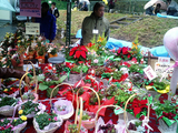 HARVEST FESTIVAL01