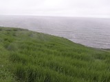千枚田の中から見る風景3