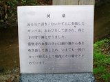 遠野かっぱ淵04