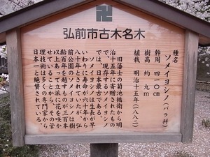 弘前城与力番所となりの日本最古のソメイヨシノの案内看板