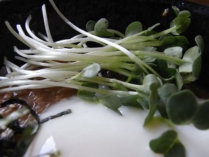 加須うどんよしもと 肉みそうどんのかわいれ大根