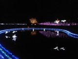 白鳥の湖