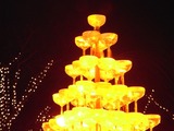 昭和記念公園15