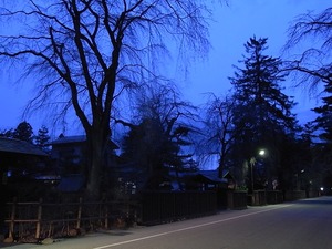 人通りも少ない日の暮れた角館武家屋敷通りと咲いていないしだれ桜1