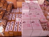幸手権現堂堤の桜12