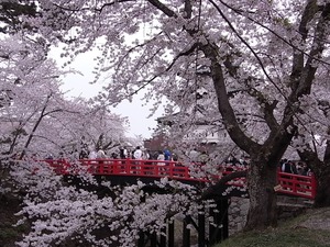 弘前城天守閣と石垣の風景を写真を撮ろうと大混雑してる下乗橋