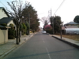 盆栽村1