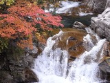 照葉峡の滝と紅葉のアップ