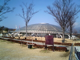 フルーツ公園2