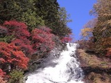 湯滝観瀑台からの眺め04