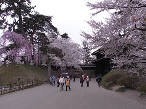 弘前城追手門と満開の桜
