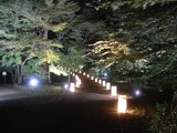 灯籠が並ぶの散策路1