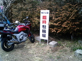 青梅吉野梅郷梅の公園16