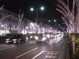 表参道のイルミネーション03