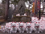 奉納された招き猫たち2