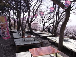 太平山謙信平に並んだ座敷席