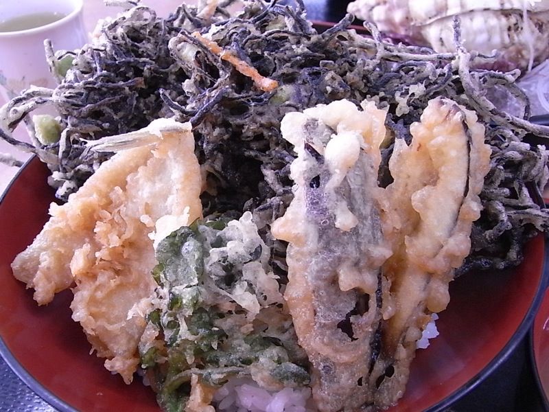 馴染みの食材だけど食べ方は ホラ貝の刺身とひじきのかき揚げ丼 かなや グルメなバイクツーリング 馴染みの食材だけど食べ方は ホラ貝の刺身とひじきのかき揚げ丼 かなや グルメなバイクツーリング