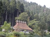 茅葺き屋根5