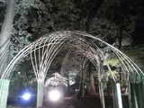 カエデ園入口2