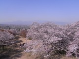 大法師公園からの眺め1