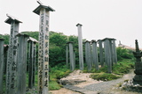 恐山15