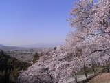 大法師公園からの眺め3