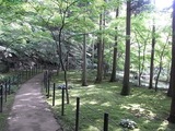 あじさい寺21