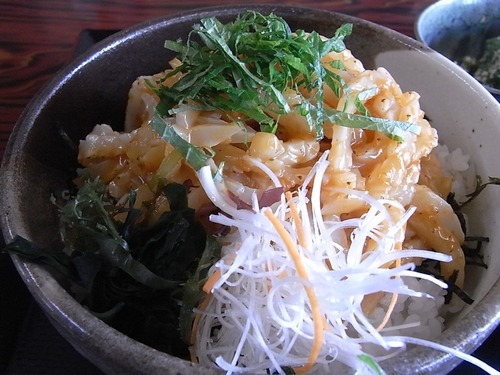 ドライブイン汐風 イカあぶり辛味噌丼 たっぷりと盛られたイカが美味い グルメなバイクツーリング ドライブイン汐風 イカあぶり辛味噌丼 たっぷりと盛られたイカが美味い グルメなバイクツーリング