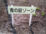 館林フラワーガーデン芝桜3