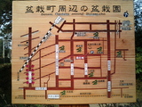 盆栽村8