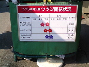 ���ϸ�Ω�ĤĤ��������� �餭���ɽ������