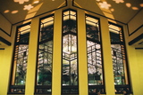 自由学園の夜桜6