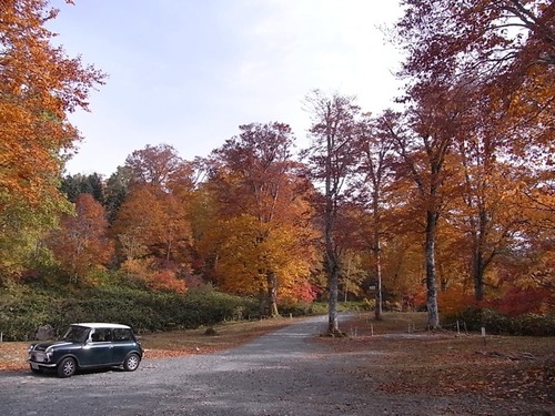 紅葉の照葉峡