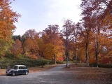 紅葉の群馬県自然の森1