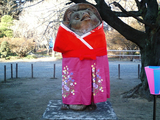 茂林寺のひな祭り10