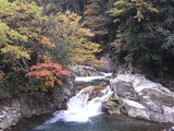照葉峡の滝と紅葉