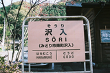 紅葉のわたらせ渓谷鐵道06