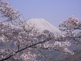 大法師公園から富士山を望む4