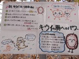 説明書き1